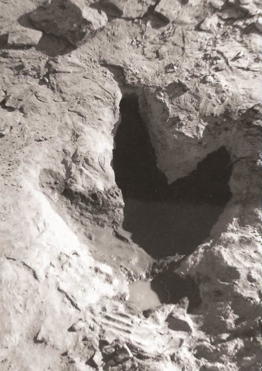 dinosaur tracks Wyoming