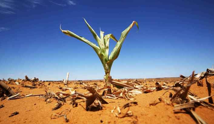 South Africa drought