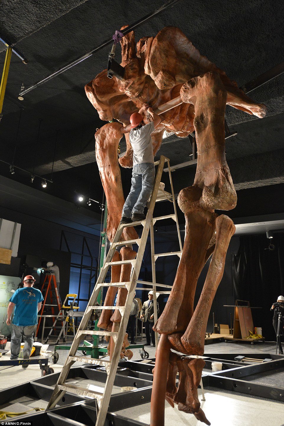 titanosaur