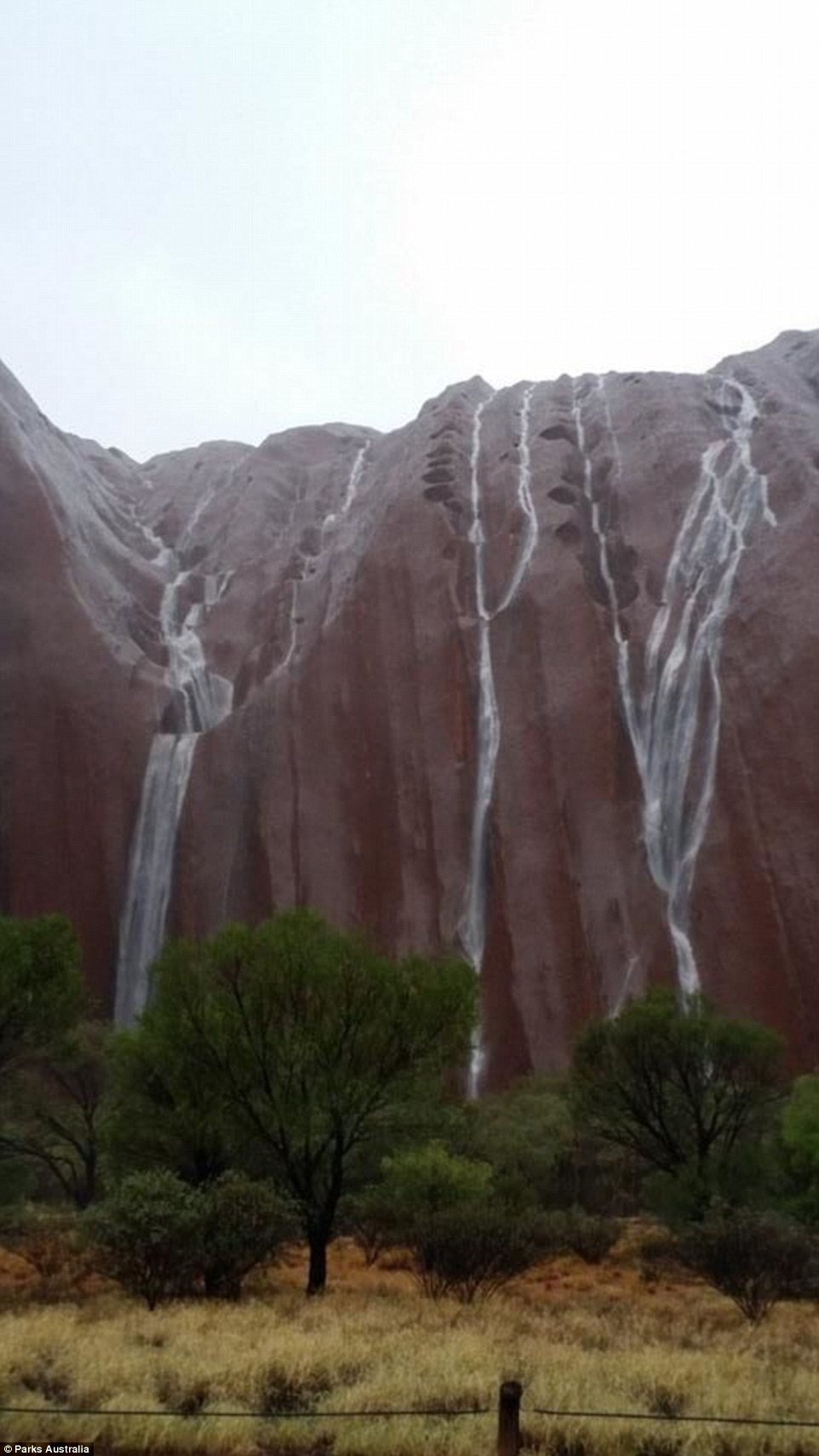 Central Australia has been experiencing 30-40mm of rain per day this week 