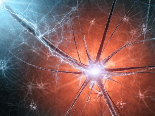 Click to enlarge alzheimers brain