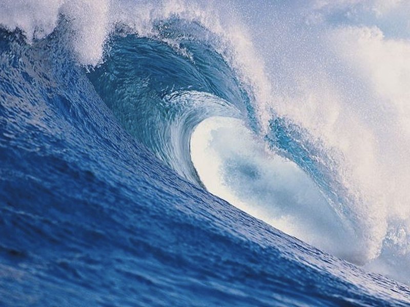 the wave