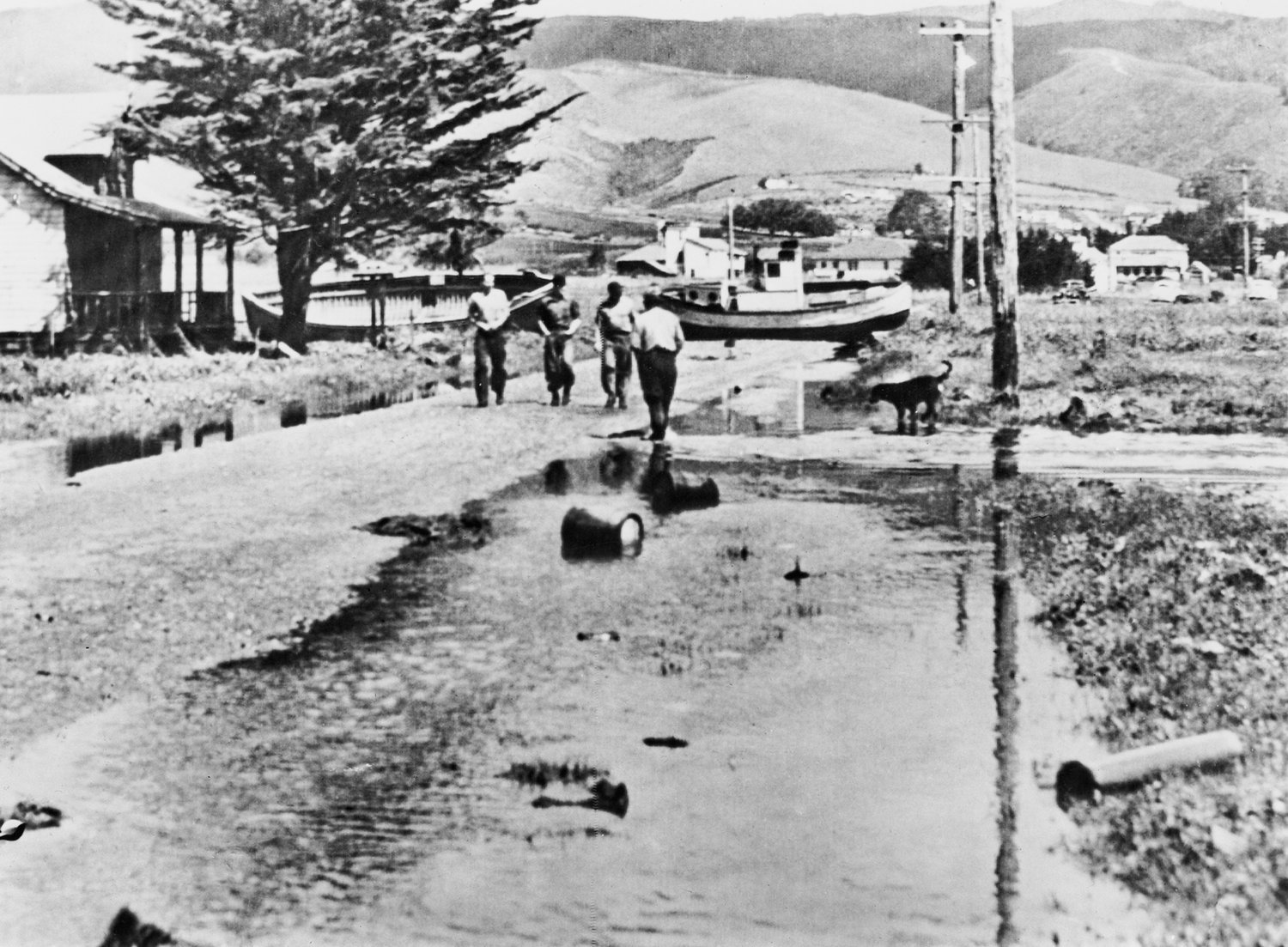 Click to enlarge The big 1946 rupture in the fault near the Aleutians also sent a tsunami to Central California, in a glancing blow. The large wave swept boats inland, where they blocked roadways in tiny Princeton-by-the-Sea, a 35-mile drive south of San Francisco.