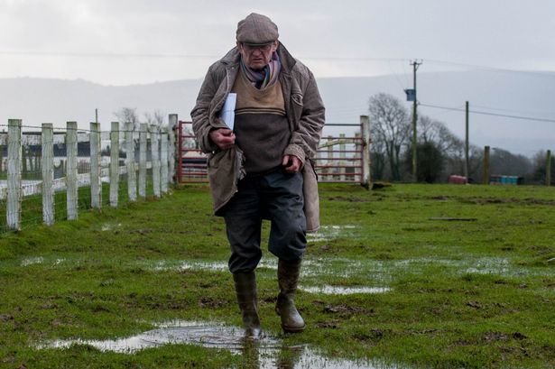 man walking in puddle