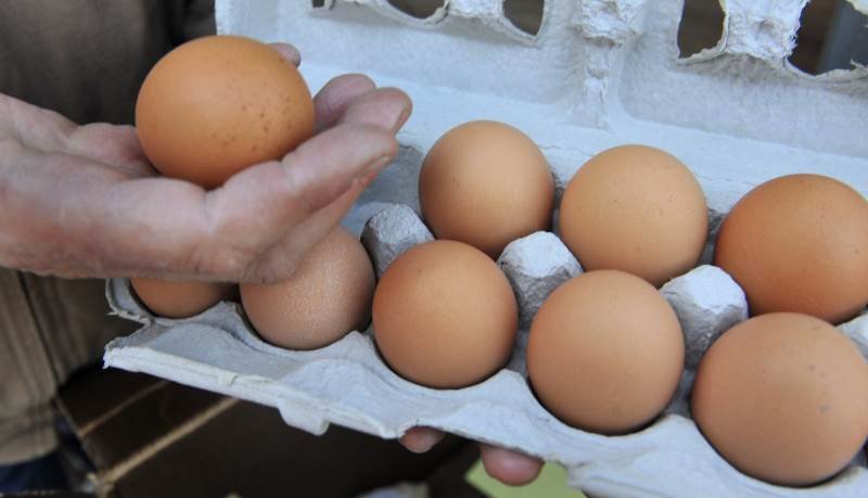 Click to enlarge eggs