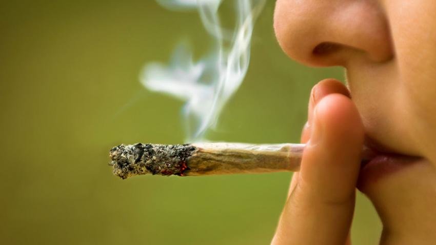 Click to enlarge marijuana