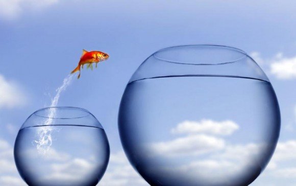 Click to enlarge fishing jumping