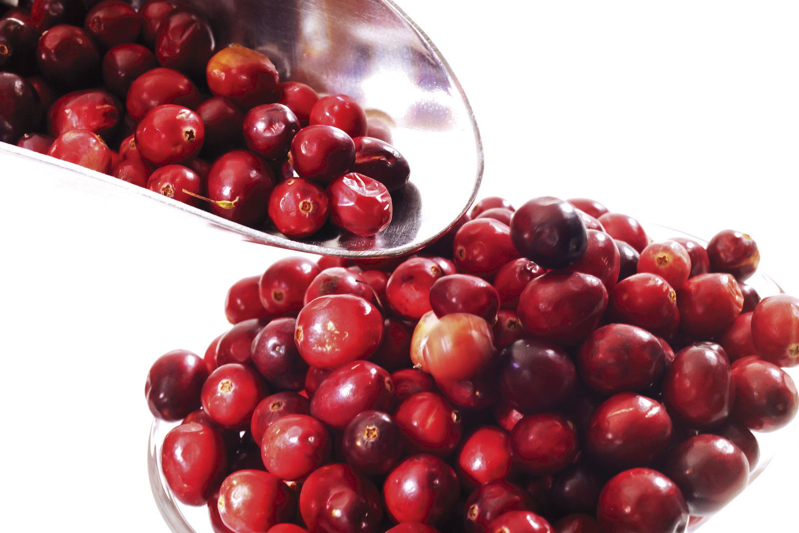 cranberry