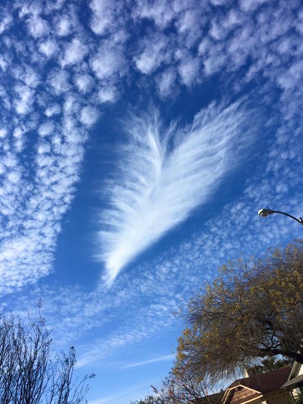 Heart-shaped hole punch cloud