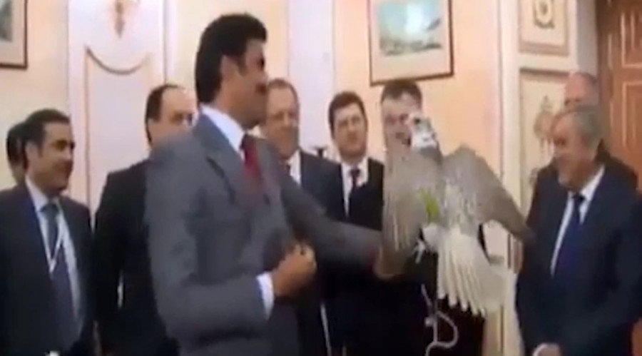 putin gift falcon