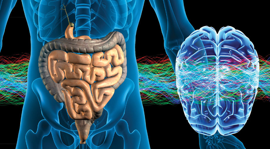Click to enlarge brain gut connection