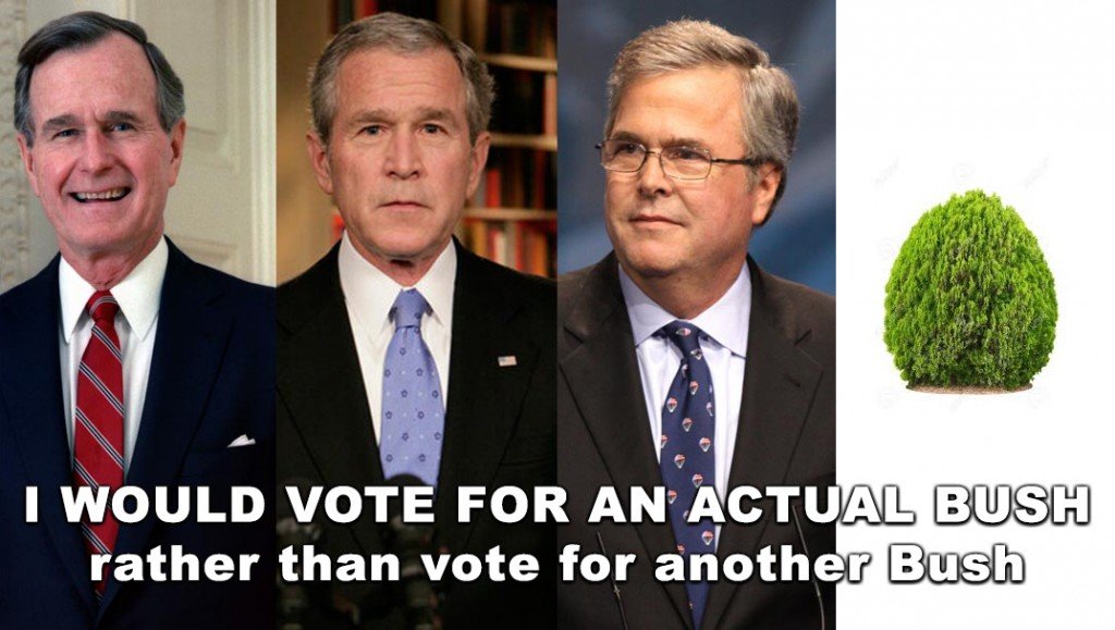 Voting for Bushes