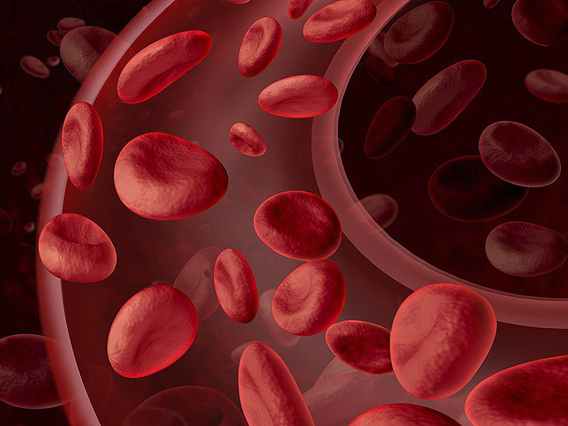 red blood cells