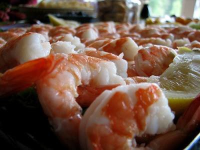 shrimp