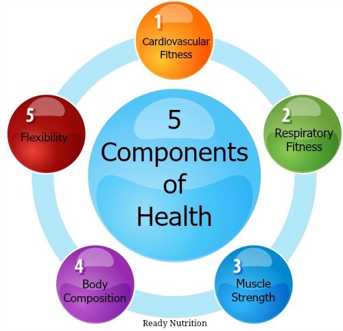 Click to enlarge components of health