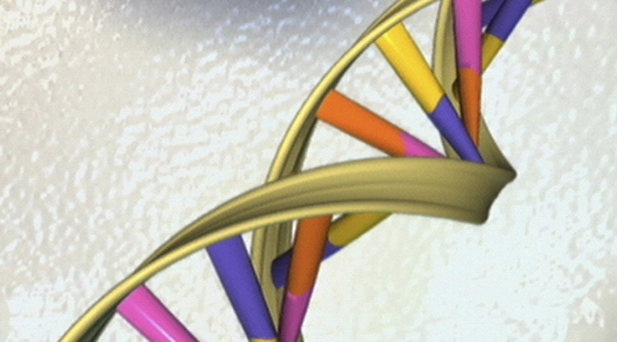 DNA genome