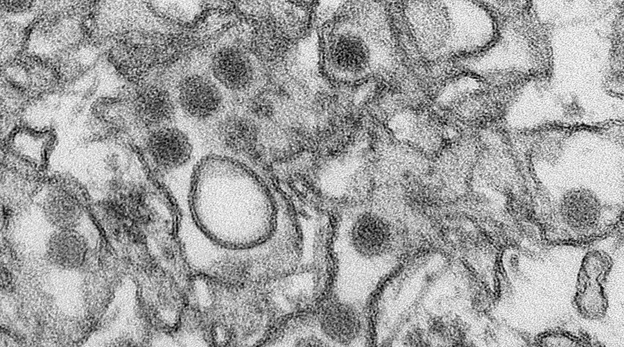 Click to enlarge Zika virus