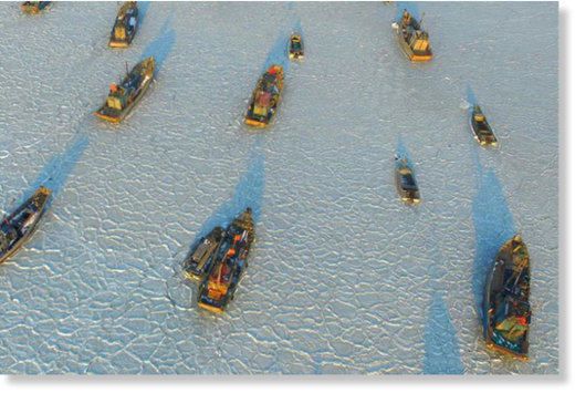 Ice trapped boats