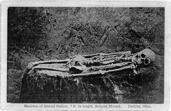 giant skeleton