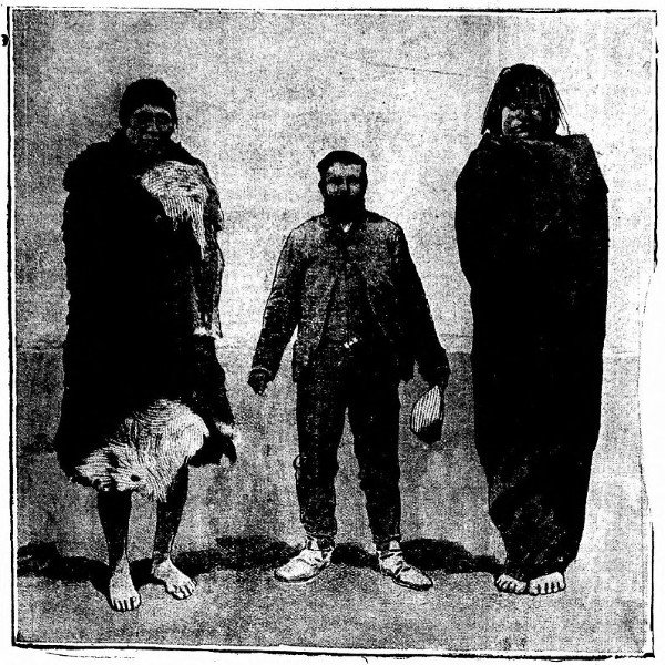 dr. cook and giants