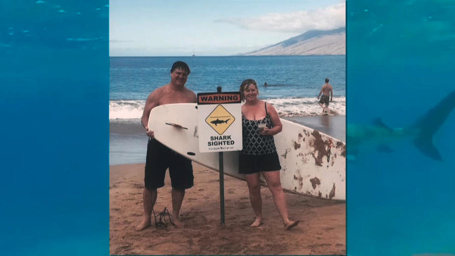 Click to enlarge Shark attack