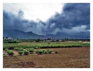 Monsoons Clouds