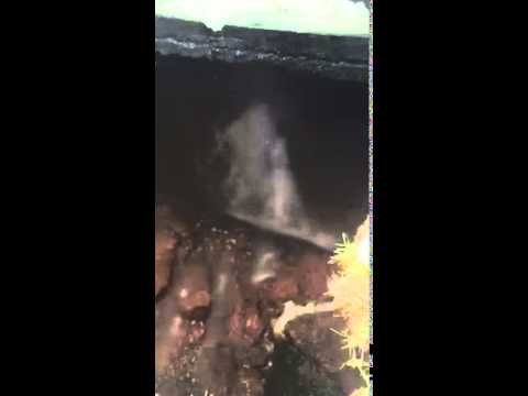 Sinkhole