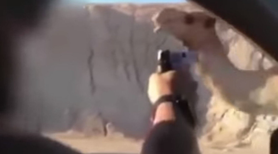 IDF shoot camel