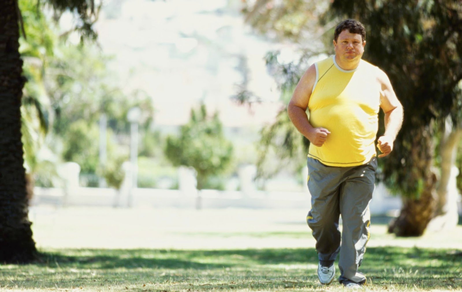exercise, obesity