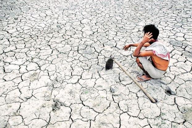 Click to enlarge Indian farmer suicides