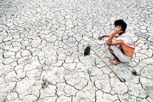 Indian farmer suicides