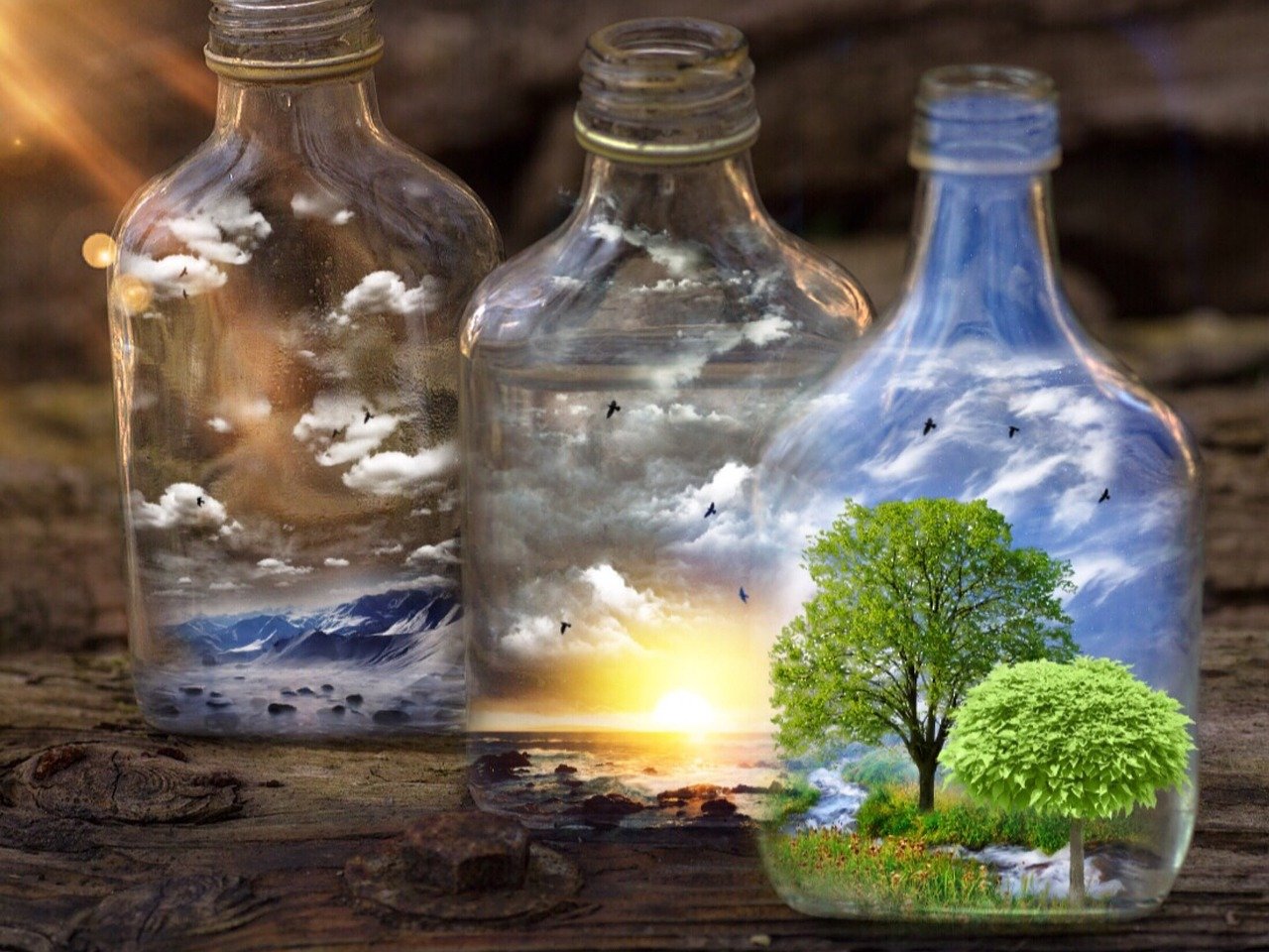 holistic health