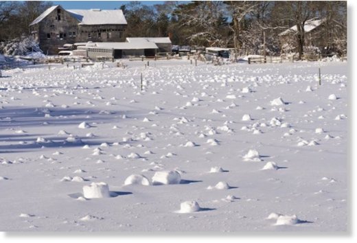 Snow rollers