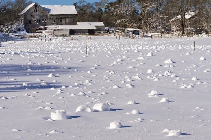 Snow rollers