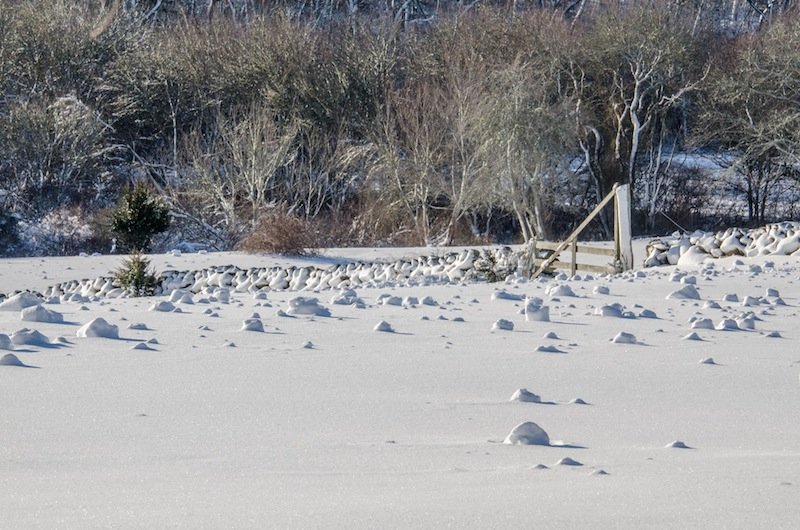 Click to enlarge Snow rollers