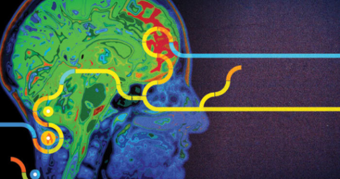 Click to enlarge cognition