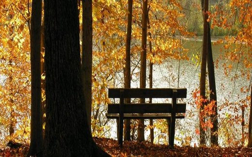 quiet meditation