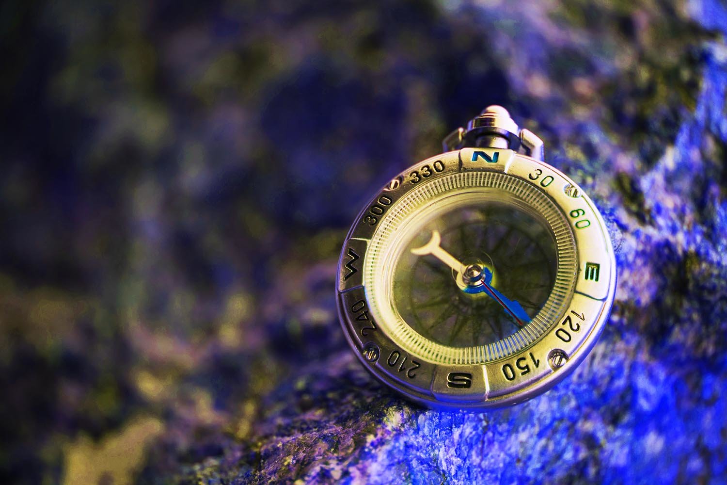 navigation, compass