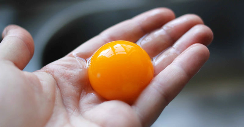 egg yolk in hand