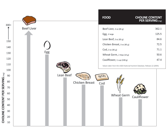 choline sources in food graph