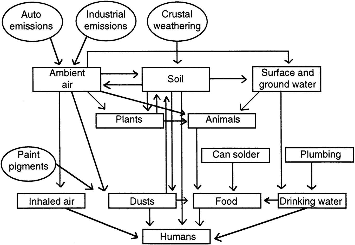 Click to enlarge sources lead exposure