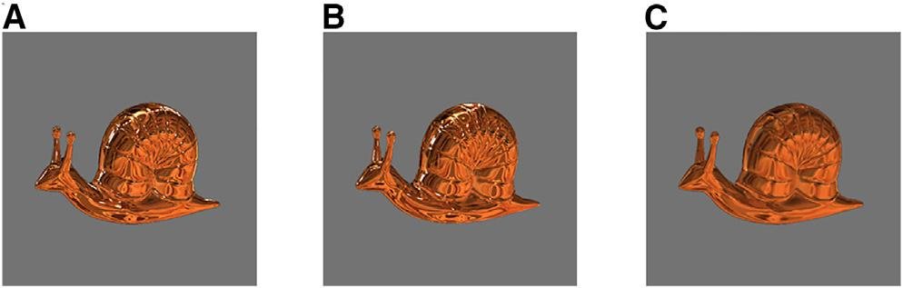 Click to enlarge snails