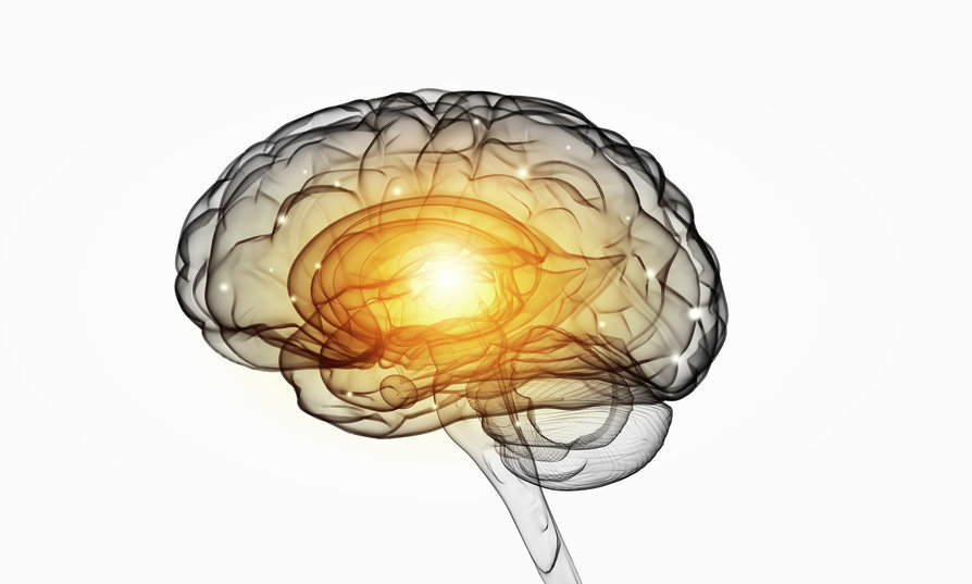 Brain picture