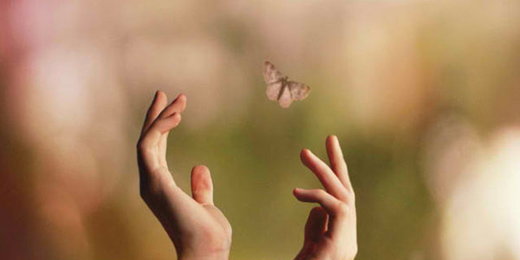 Click to enlarge Butterfly effect