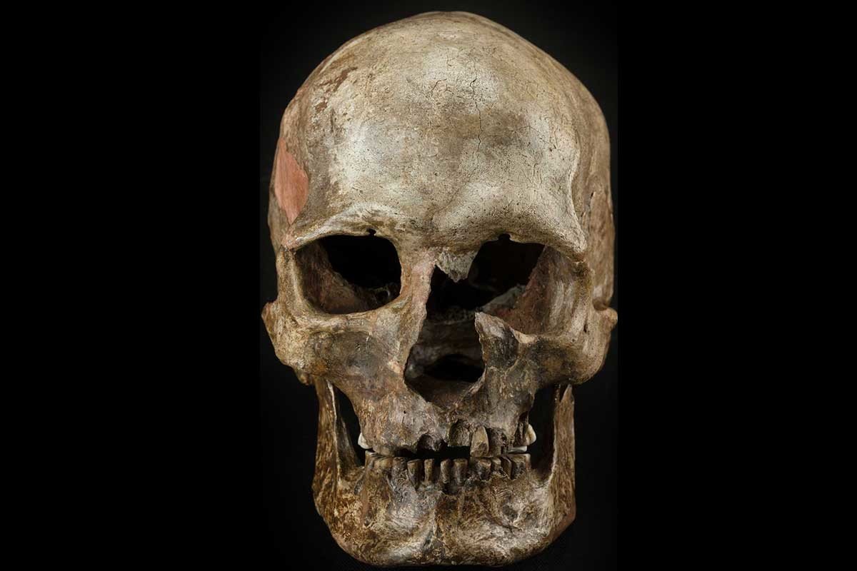 skull Dolni Vestonice burial site Czech Republic