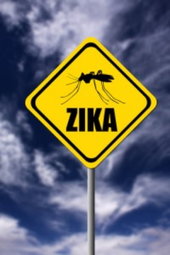 Zika