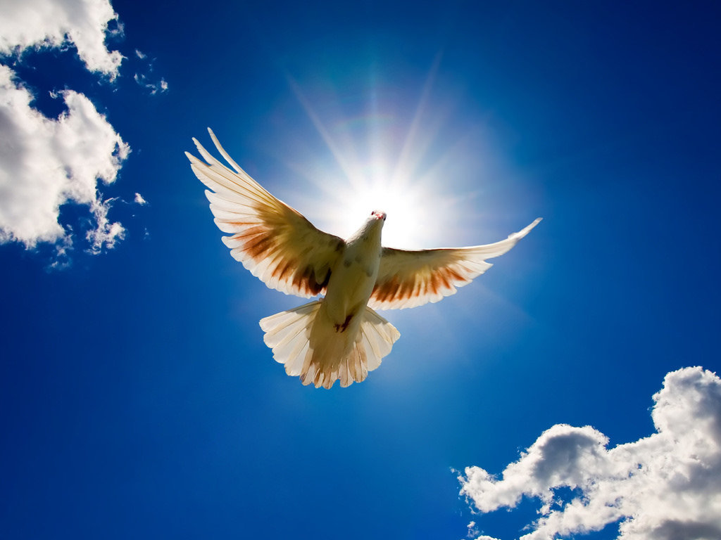 Peace