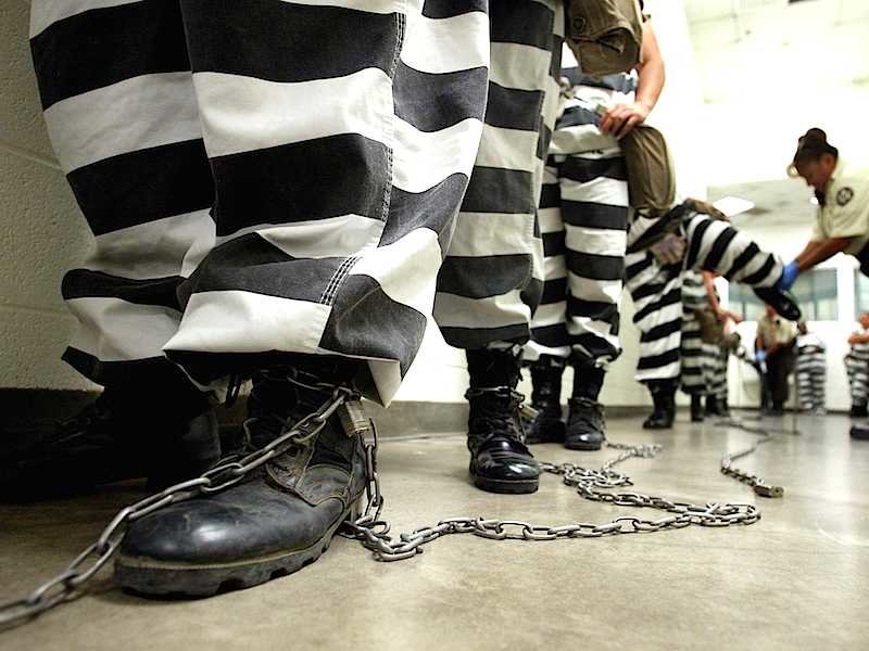 jailbirds