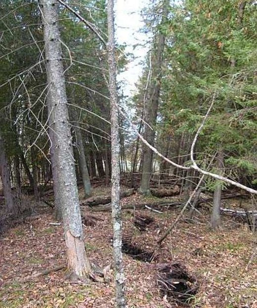 Click to enlarge Menominee Crack 'pop-up' feature