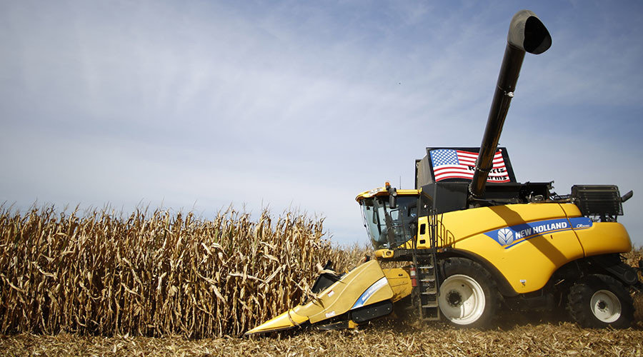 corn